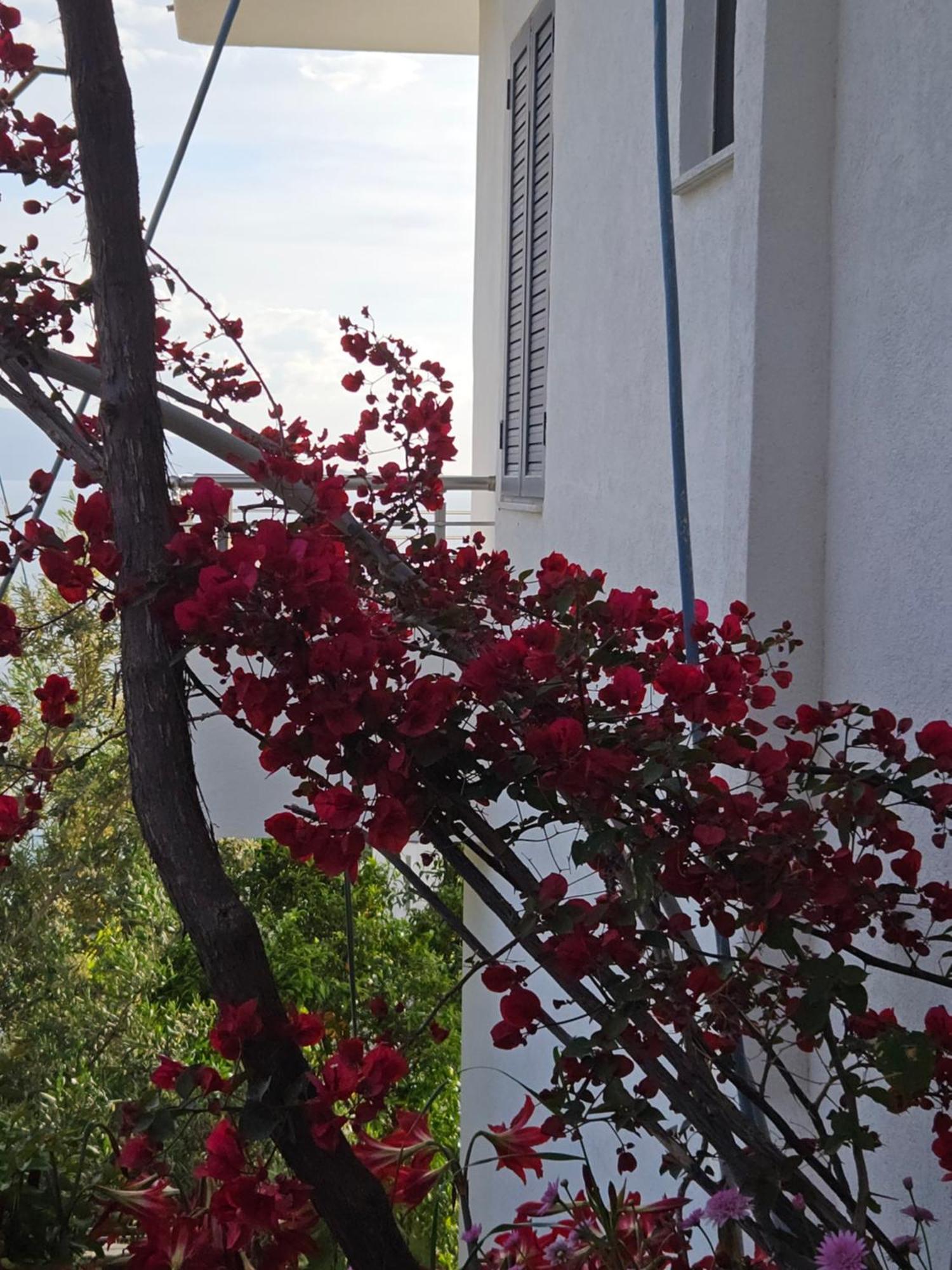 Nora'S Guesthouse Sarandë Eksteriør billede