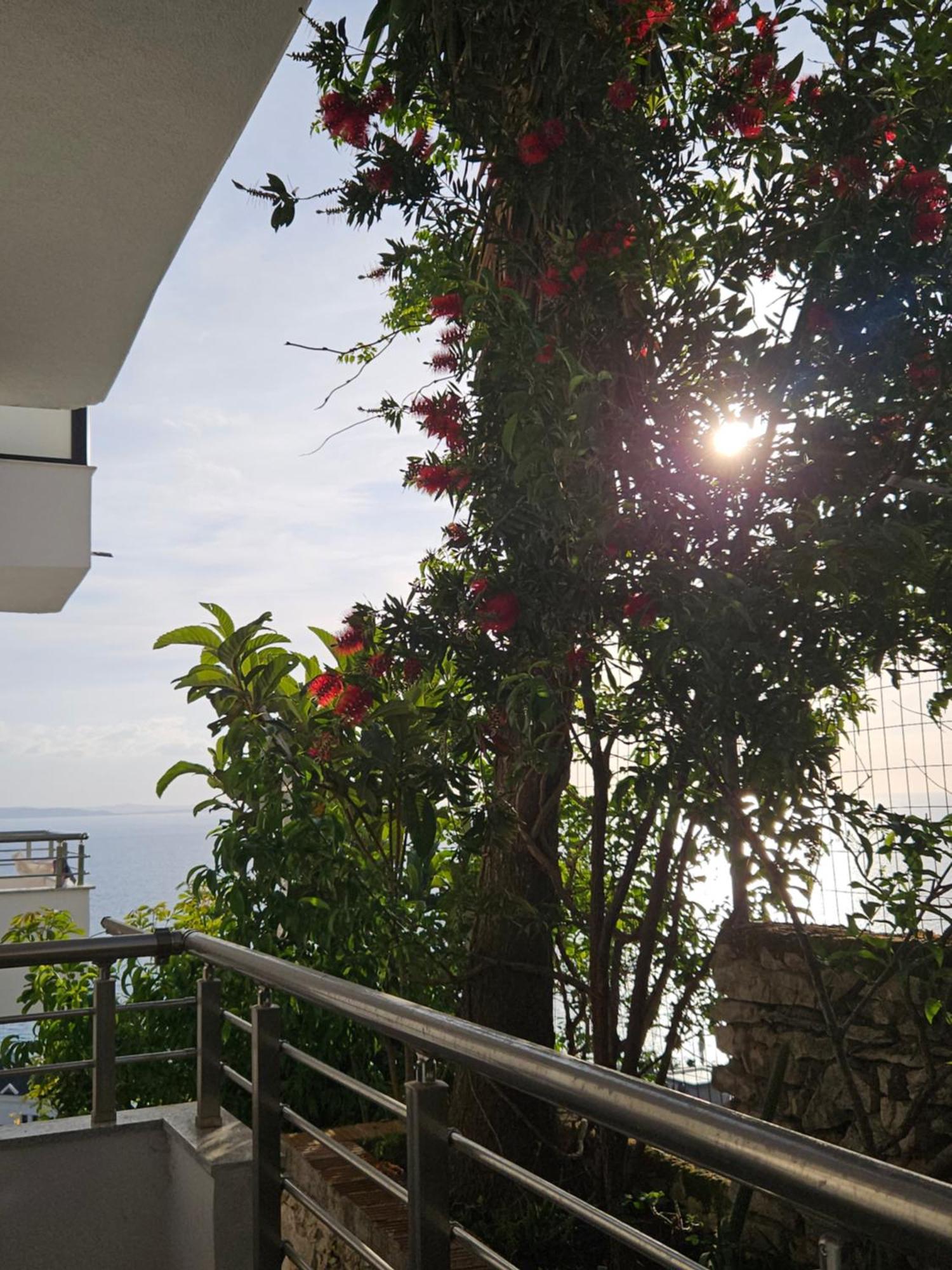 Nora'S Guesthouse Sarandë Eksteriør billede