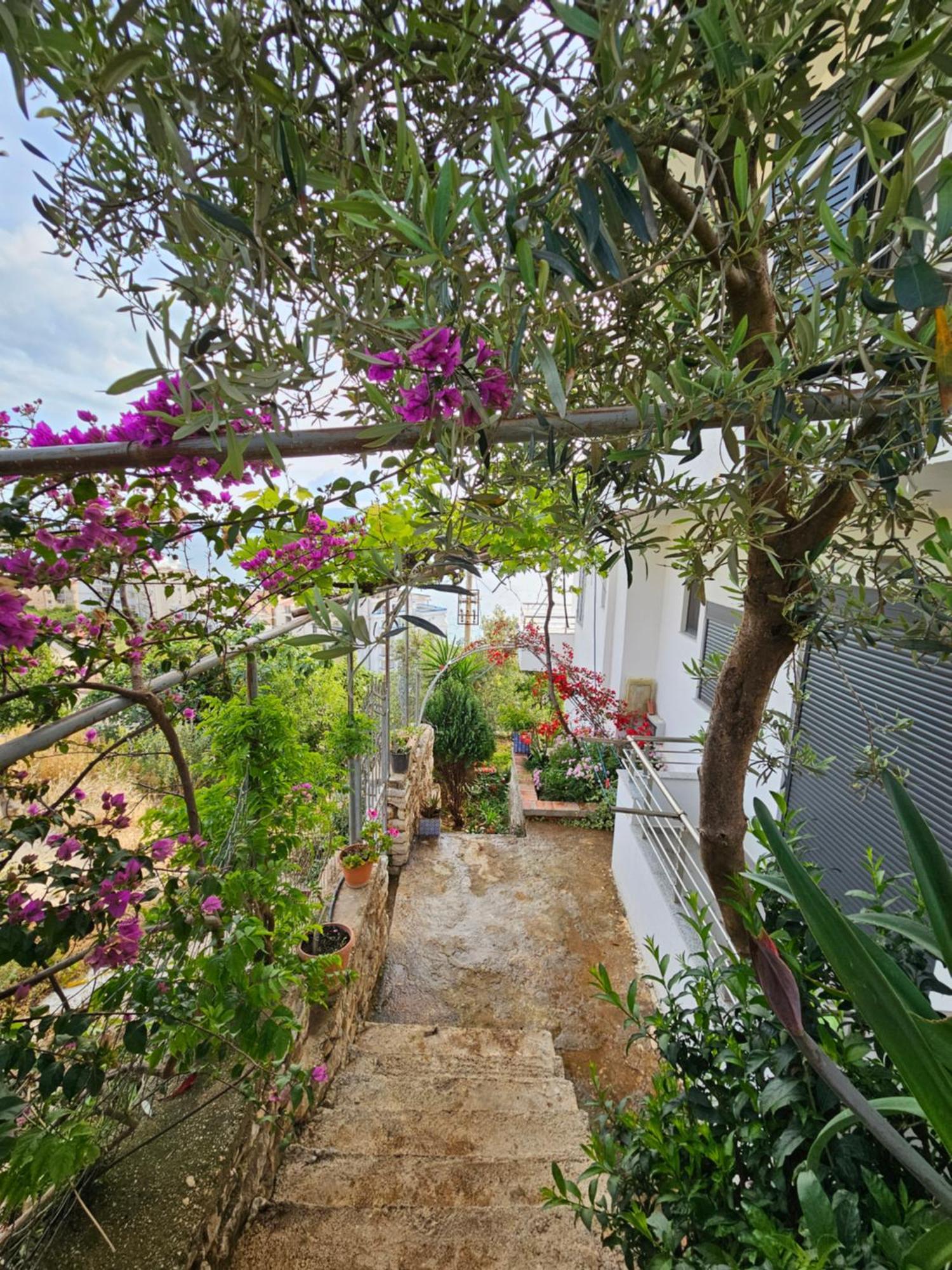 Nora'S Guesthouse Sarandë Eksteriør billede